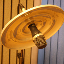 The horndiffuser is applied around the microphone
